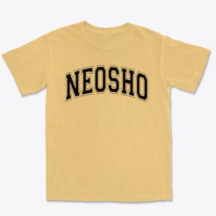 Neosho  Intermediate Middle School Varsity Arch Premium Heavyweight T-shirt