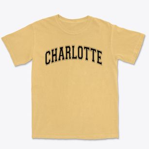Charlotte Avenue Elementary School Varsity Arch Premium Heavyweight T-shirt