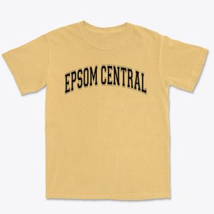 Epsom Central School Varsity Arch Premium Heavyweight T-shirt