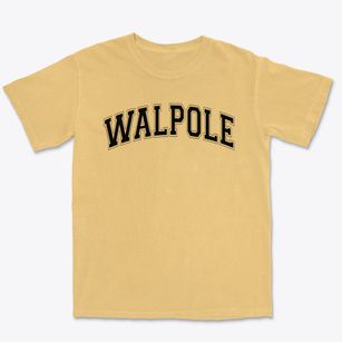 Walpole Primary School Varsity Arch Premium Heavyweight T-shirt