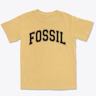 Fossil Elementary School Varsity Arch Premium Heavyweight T-shirt