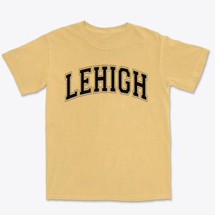 Lehigh Christian Academy Varsity Arch Premium Heavyweight T-shirt