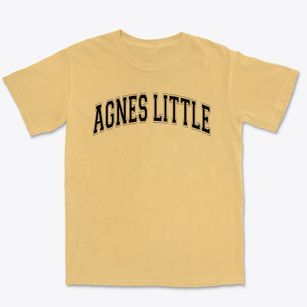 Agnes Little Elementary School Varsity Arch Premium Heavyweight T-shirt