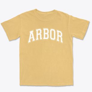 Arbor Christian Academy Varsity Arch Premium Heavyweight T-shirt