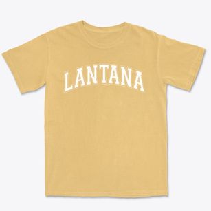Lantana Middle School Varsity Arch Premium Heavyweight T-shirt