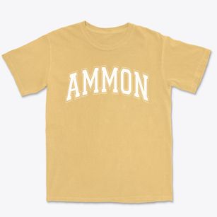 Ammon Elementary School Varsity Arch Premium Heavyweight T-shirt