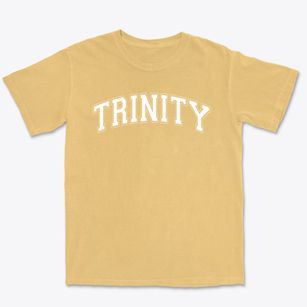 Trinity Christian Academy Varsity Arch Premium Heavyweight T-shirt