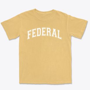 Federal Elementary School Varsity Arch Premium Heavyweight T-shirt
