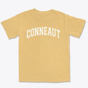 Conneaut Elementary School Varsity Arch Premium Heavyweight T-shirt