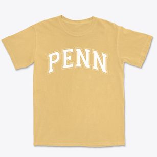 Penn Christian Academy Varsity Arch Premium Heavyweight T-shirt