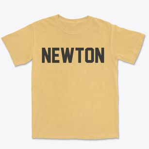 Newton New Hampshire Classic Block Premium Heavyweight T-shirt