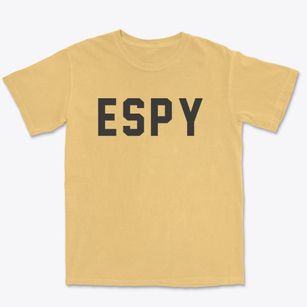 Espy Pennsylvania Classic Block Premium Heavyweight T-shirt