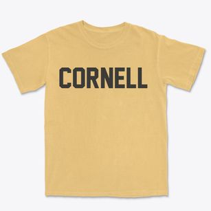 Cornell Wisconsin Classic Block Premium Heavyweight T-shirt