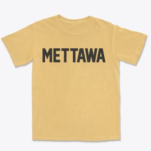 Mettawa Illinois Classic Block Premium Heavyweight T-shirt