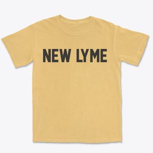 New Lyme Wisconsin Classic Block Premium Heavyweight T-shirt
