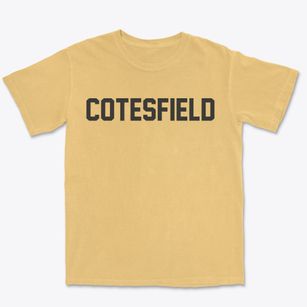 Cotesfield Nebraska Classic Block Premium Heavyweight T-shirt