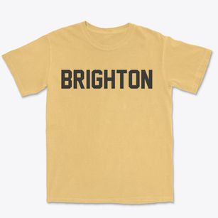 Brighton Michigan Classic Block Premium Heavyweight T-shirt