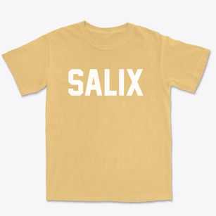 Salix Pennsylvania Classic Block Premium Heavyweight T-shirt