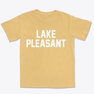 Lake Pleasant New York Classic Block Premium Heavyweight T-shirt