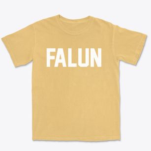 Falun Kansas Classic Block Premium Heavyweight T-shirt