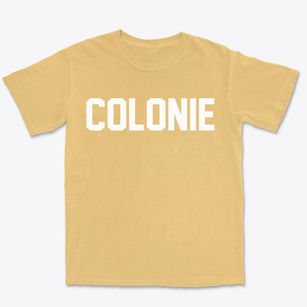 Colonie New York Classic Block Premium Heavyweight T-shirt