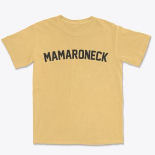 Mamaroneck New York Classic Curve Premium Heavyweight T-shirt