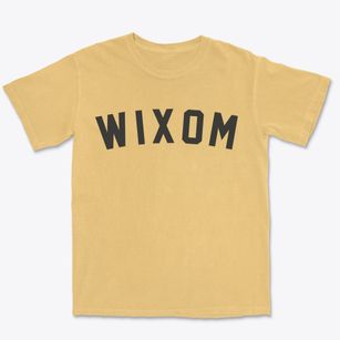 Wixom Michigan Classic Curve Premium Heavyweight T-shirt