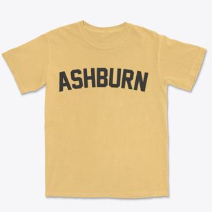 Ashburn Missouri Classic Curve Premium Heavyweight T-shirt