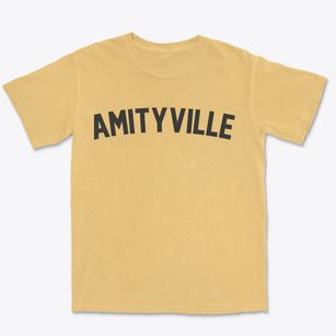 Amityville New York Classic Curve Premium Heavyweight T-shirt
