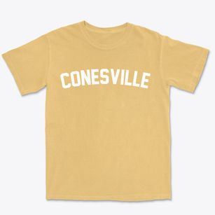 Conesville Ohio Classic Curve Premium Heavyweight T-shirt