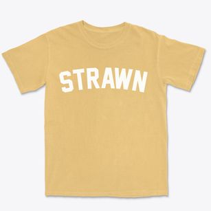 Strawn Illinois Classic Curve Premium Heavyweight T-shirt
