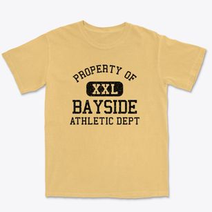 Bayside Wisconsin Athletic Dept Premium Heavyweight T-shirt