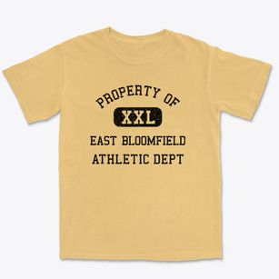 East Bloomfield New York Athletic Dept Premium Heavyweight T-shirt