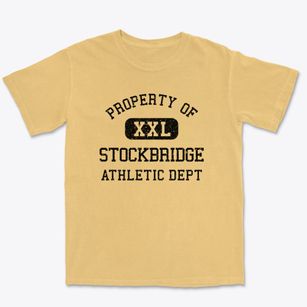 Stockbridge Massachusetts Athletic Dept Premium Heavyweight T-shirt