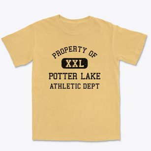 Potter Lake Wisconsin Athletic Dept Premium Heavyweight T-shirt