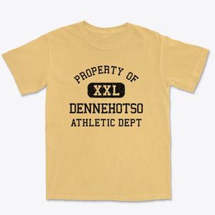 Dennehotso Arizona Athletic Dept Premium Heavyweight T-shirt