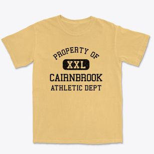 Cairnbrook Pennsylvania Athletic Dept Premium Heavyweight T-shirt