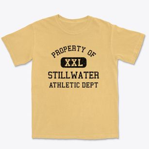 Stillwater Minnesota Athletic Dept Premium Heavyweight T-shirt
