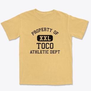 Toco Texas Athletic Dept Premium Heavyweight T-shirt
