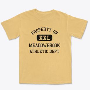 Meadowbrook Alabama Athletic Dept Premium Heavyweight T-shirt