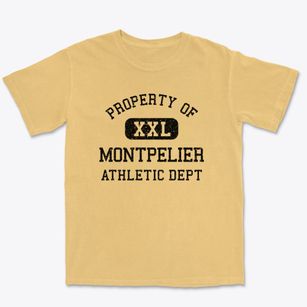 Montpelier Vermont Athletic Dept Premium Heavyweight T-shirt