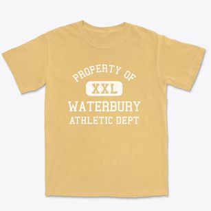 Waterbury Vermont Athletic Dept Premium Heavyweight T-shirt