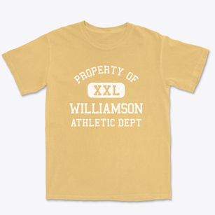 Williamson West Virginia Athletic Dept Premium Heavyweight T-shirt