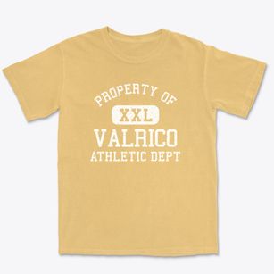 Valrico Florida Athletic Dept Premium Heavyweight T-shirt