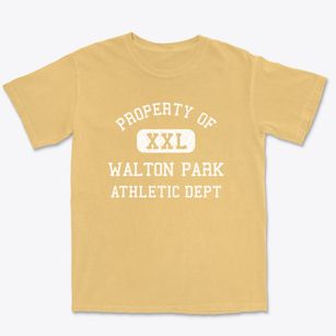 Walton Park New York Athletic Dept Premium Heavyweight T-shirt
