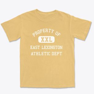 East Lexington Virginia Athletic Dept Premium Heavyweight T-shirt