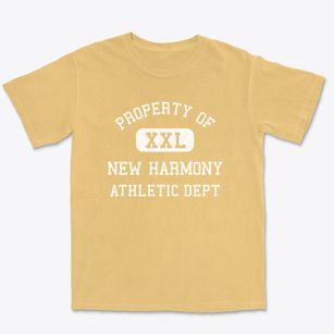 New Harmony Indiana Athletic Dept Premium Heavyweight T-shirt