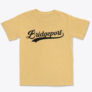 Bridgeport Michigan Vintage Team Premium Heavyweight T-shirt