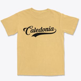 Caledonia New York Vintage Team Premium Heavyweight T-shirt