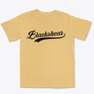 Blackshear Georgia Vintage Team Premium Heavyweight T-shirt